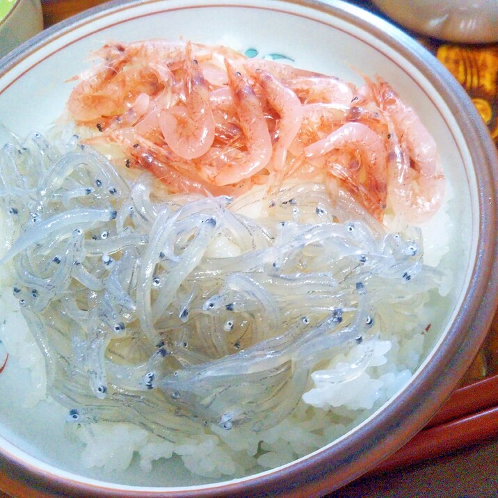 旬の生しらす&生桜えび丼